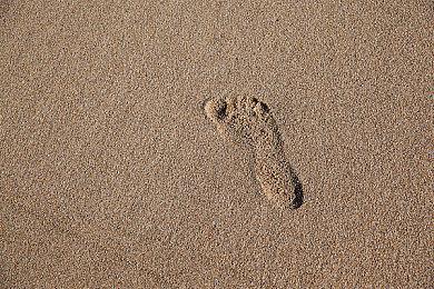 E3 2022现已全面取消 线下和线上展都不会有